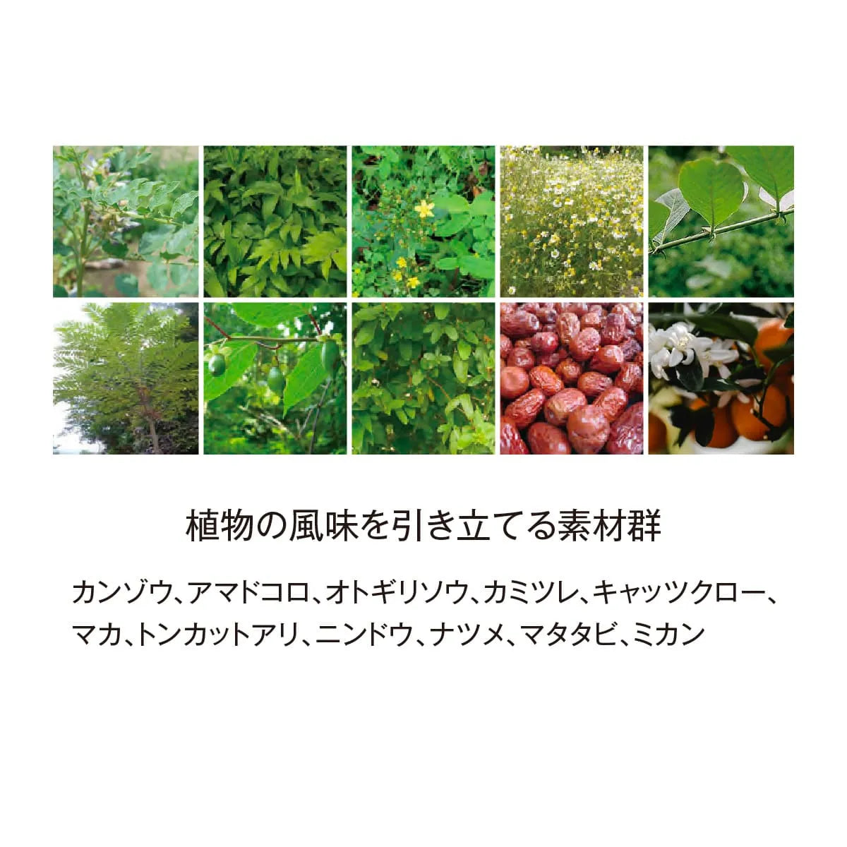 BIYOUDO BOTANICAL ENZYME 720ml