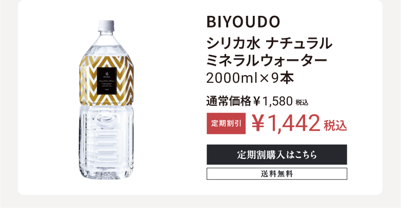 biyoudo LP画像5