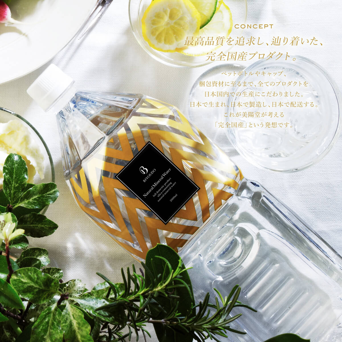 BIYOUDO シリカ水  2000ml×9本