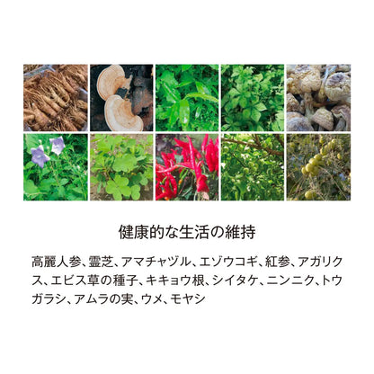 BIYOUDO BOTANICAL ENZYME 720ml