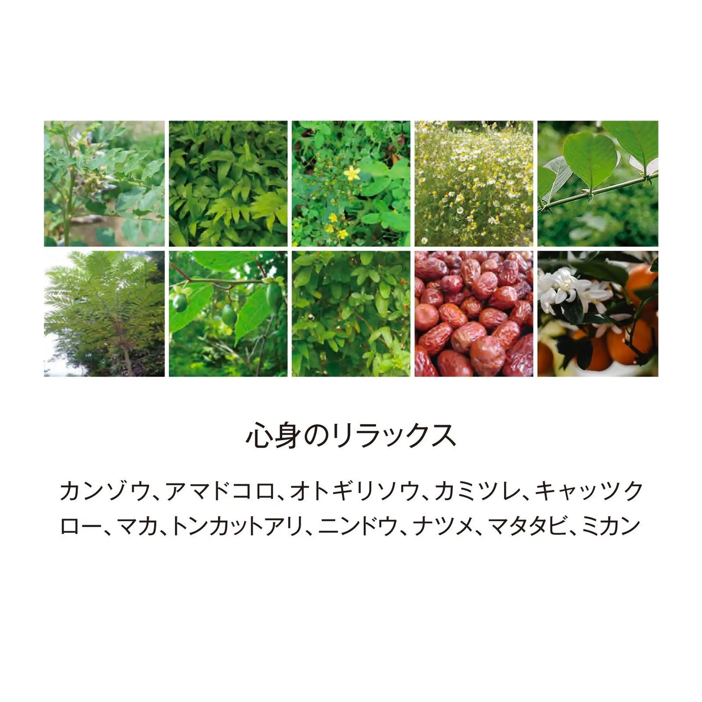 BIYOUDO BOTANICAL ENZYME 720ml
