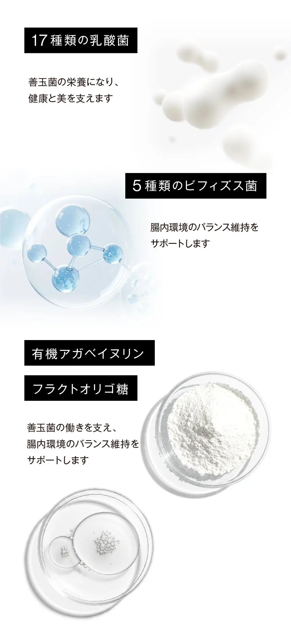 17種類の乳酸菌、5種類のビフィズス菌、有機アガベイヌリン、フラクトオリゴ糖