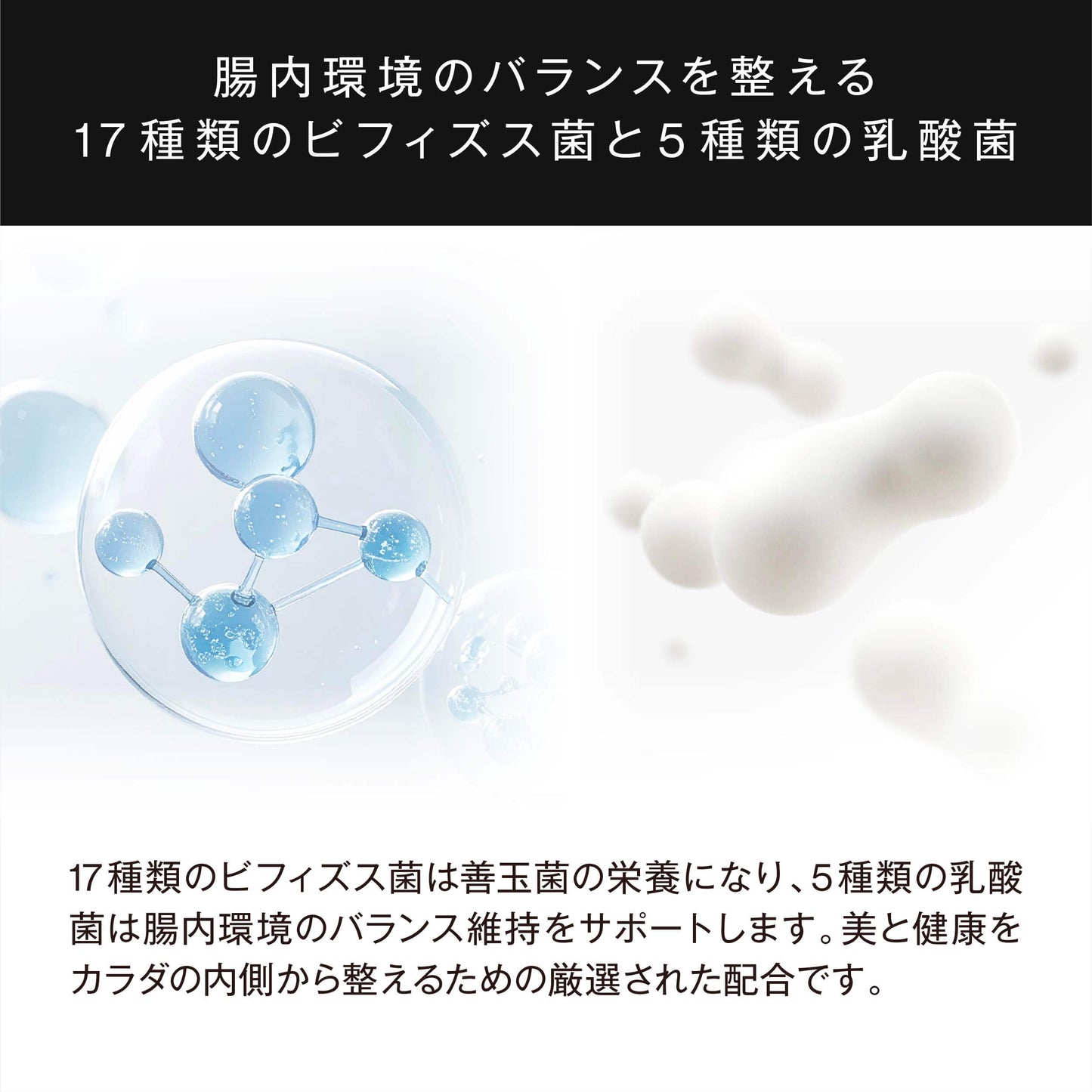 腸内環境のバランスを整える、17種類のビフィズス菌と5種類の乳酸菌