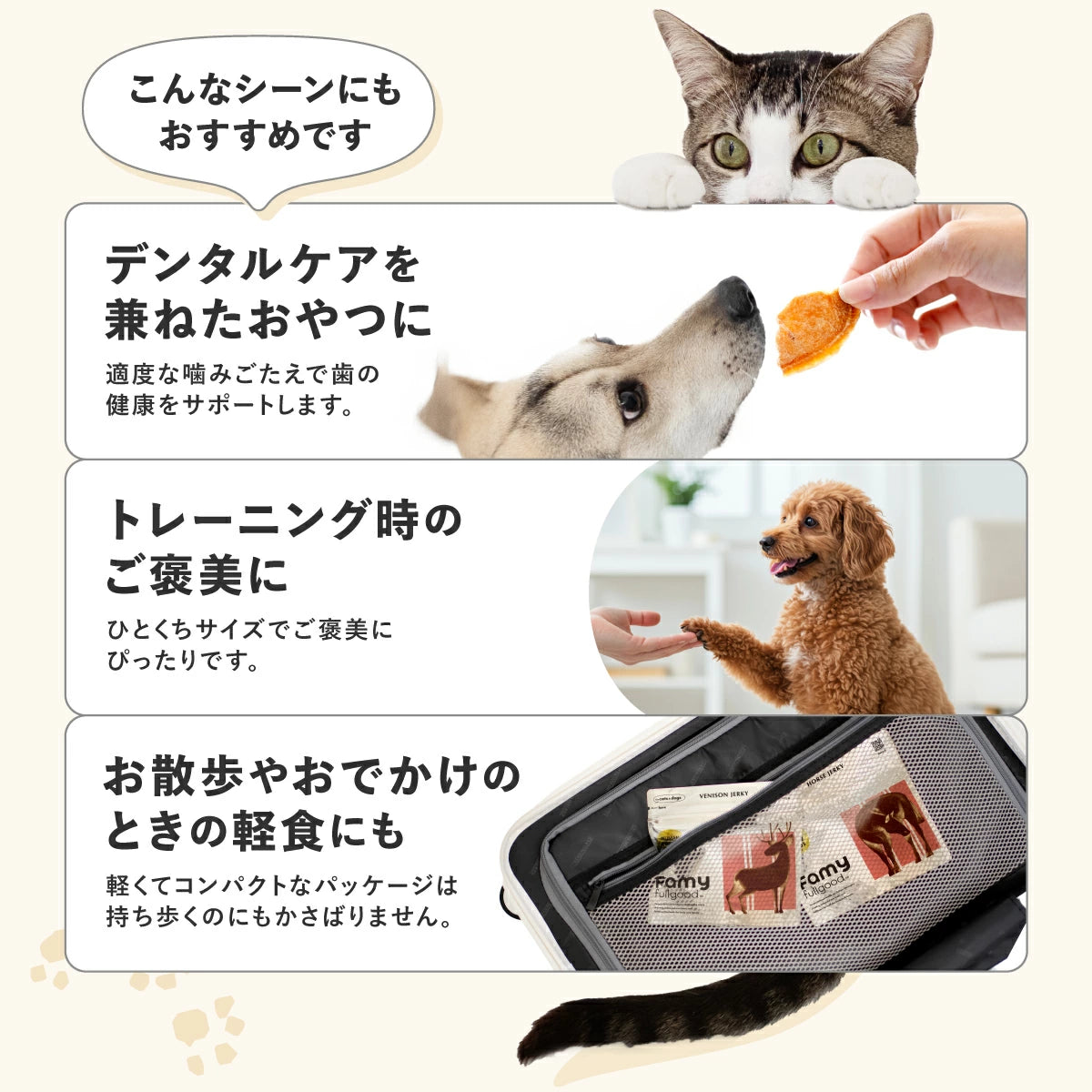 Famy fullgood エアドライ 40g×2袋