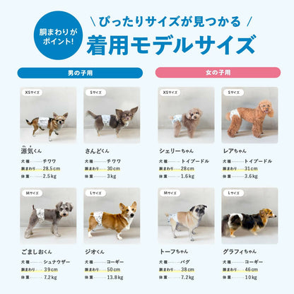 Famy フィットウェア 犬用おむつ