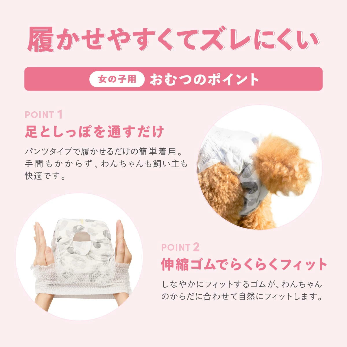 Famy フィットウェア 犬用おむつ