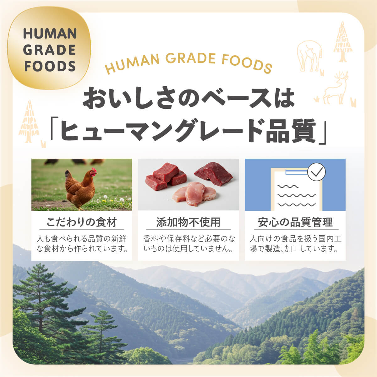 Famy fullgood レトルト 50g×6袋