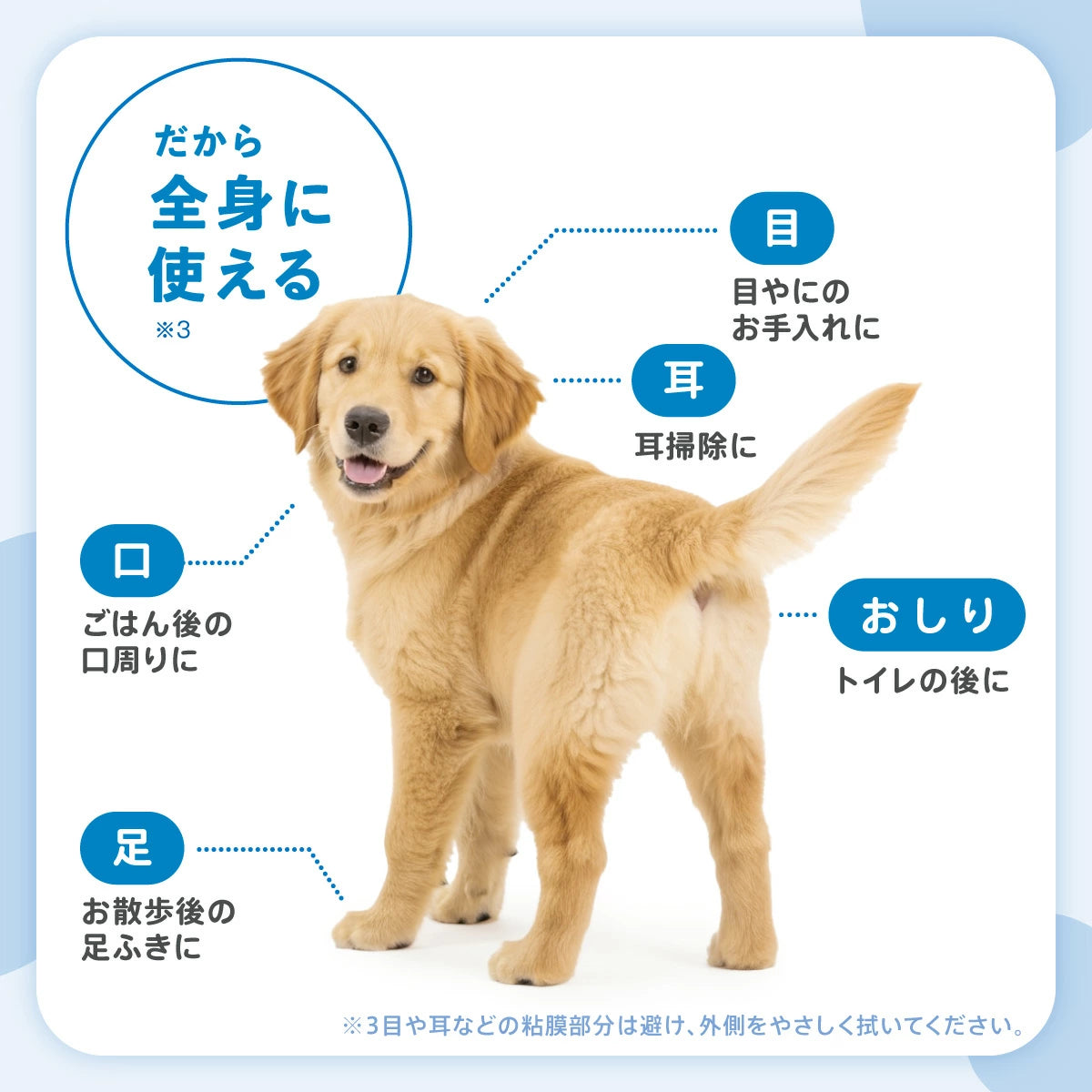 Famy ウェットティッシュ 80枚×12袋