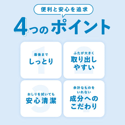 Famy ウェットティッシュ 80枚×12袋