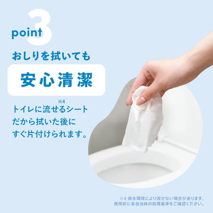 Famy ウェットティッシュ 80枚×12袋