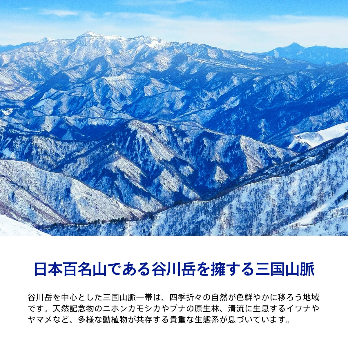 水想い 長期保存水 6年 2000ml×9本