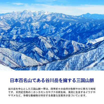 水想い 長期保存水 6年 2000ml×9本