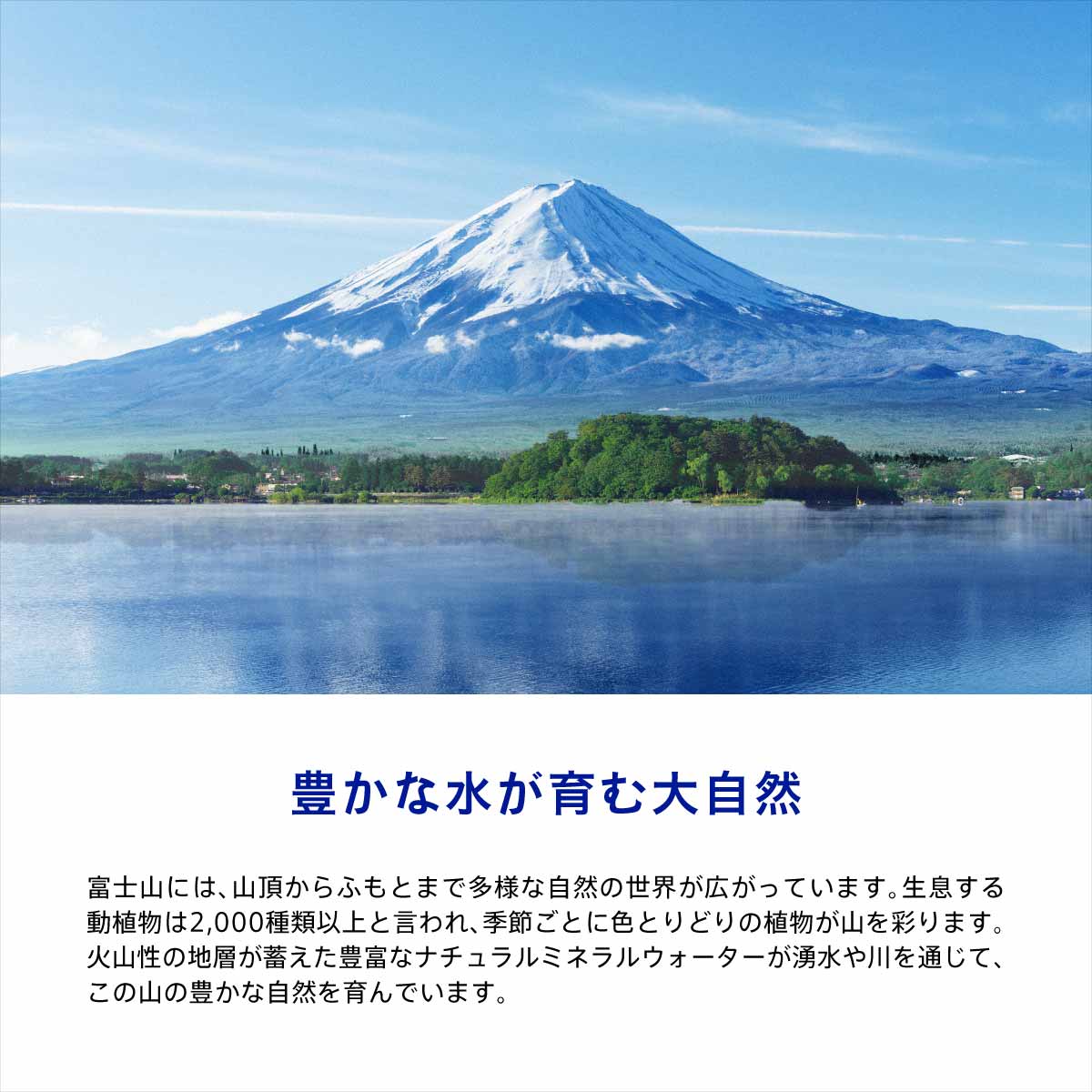 水想い スパークリングウォーター ラベルレス  500ml×42本