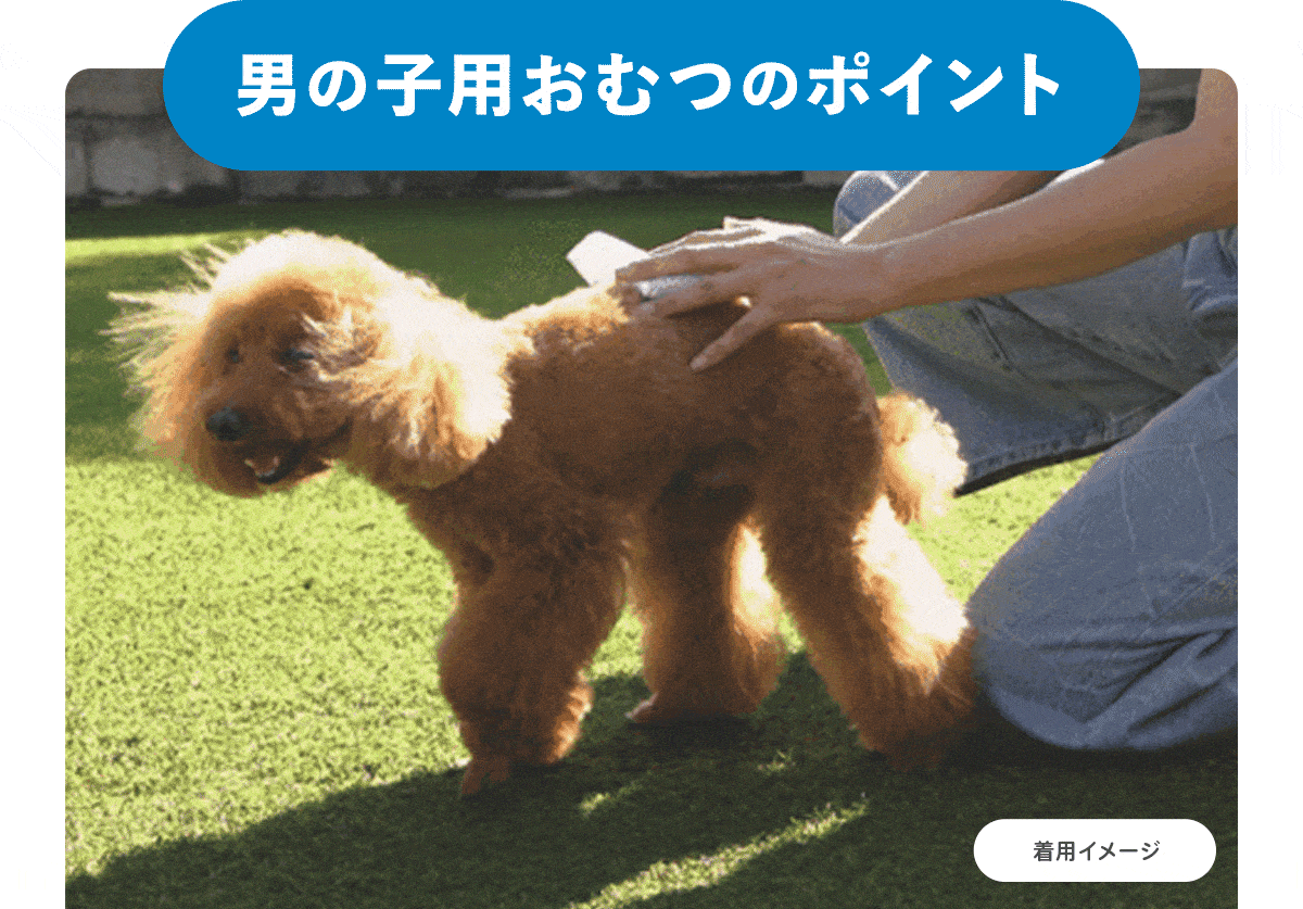Famy フィットウェア 犬用おむつ