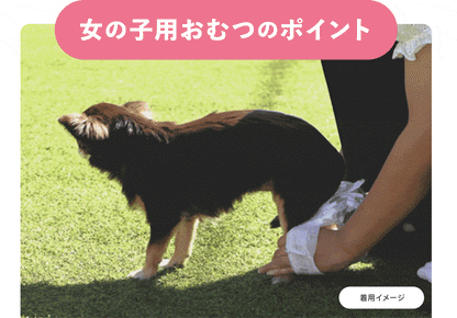 Famy フィットウェア 犬用おむつ